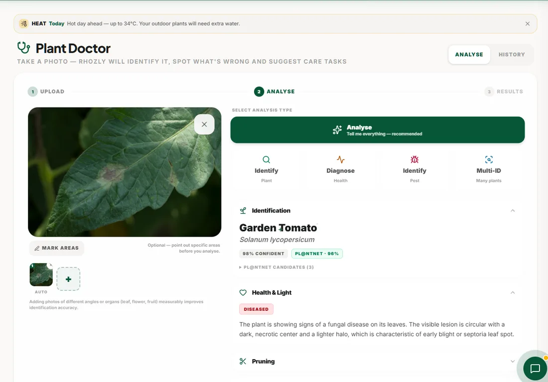 The Plant Doctor identifying a tomato leaf and diagnosing early blight from a photo